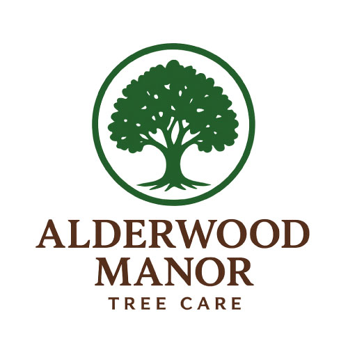 Alderwood-tree-care
