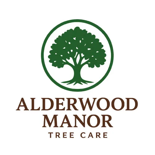Alderwood-tree-care