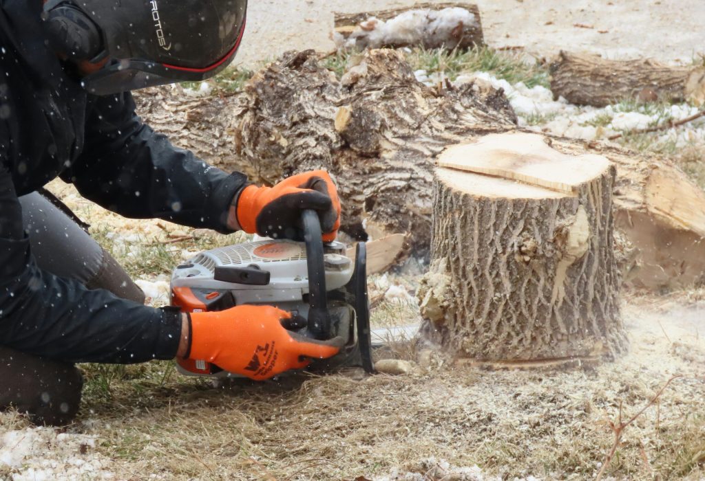 stump grinding alderwood manor