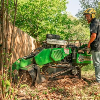 stump grinding alderwood manor